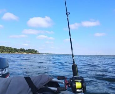 Pesca