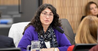 Diputada Nacional Ana María Ianni