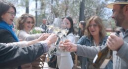 Wines of Argentina
