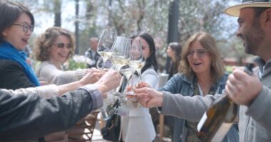 Wines of Argentina