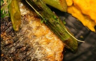 Tierra Restaurante