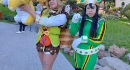 Cosplay, Manga y Anime