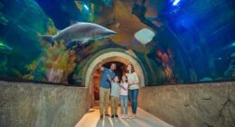 Atracciones