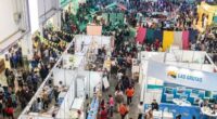 Expo Turismo