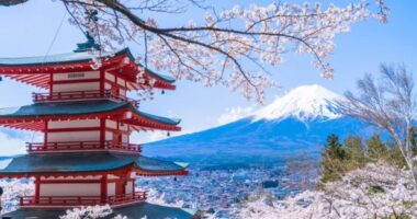 Japon